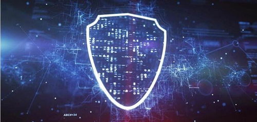 專(zhuān)利圍城 企業(yè)如何運(yùn)用圍墻式布局，在網(wǎng)絡(luò)安全技術(shù)領(lǐng)域構(gòu)筑市場(chǎng)護(hù)城河