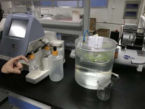 貝愛(ài)益生全國(guó)合伙人齊聚科爾工廠(chǎng)，零距離見(jiàn)證羊初乳CPP復(fù)合粉安全生產(chǎn)與網(wǎng)絡(luò)安全技術(shù)研發(fā)